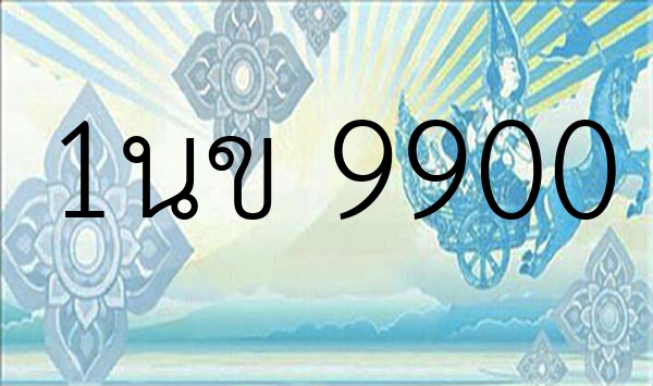 1นข 9900